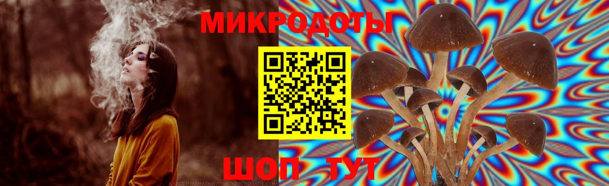 Псилоцибиновые грибы мухоморы  Вход с VPN  Прохладный 