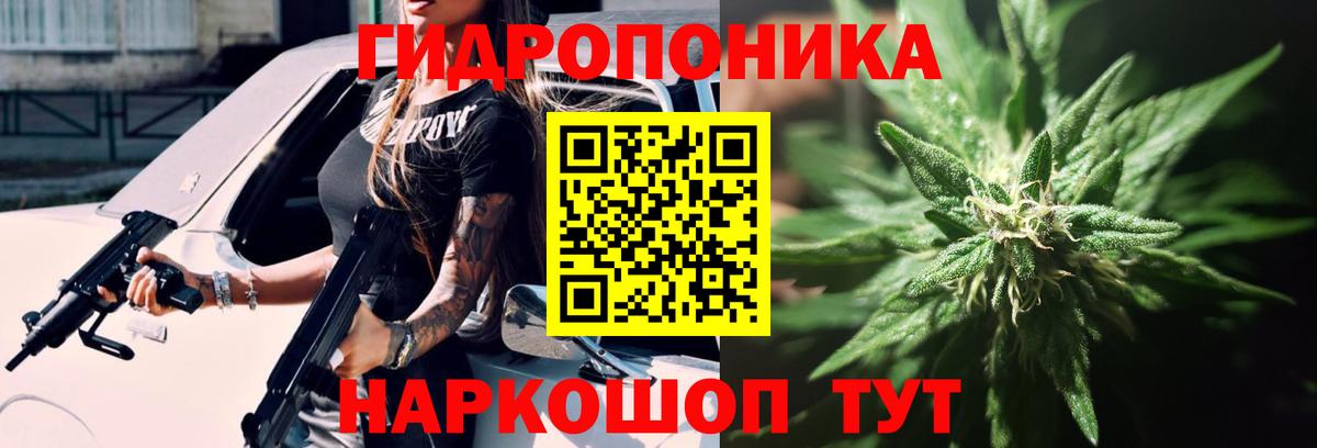 Прохладный  Бошки марихуана ГИДРОПОН  Бошки марихуана марихуана  Каннабис индика  Вход с VPN 